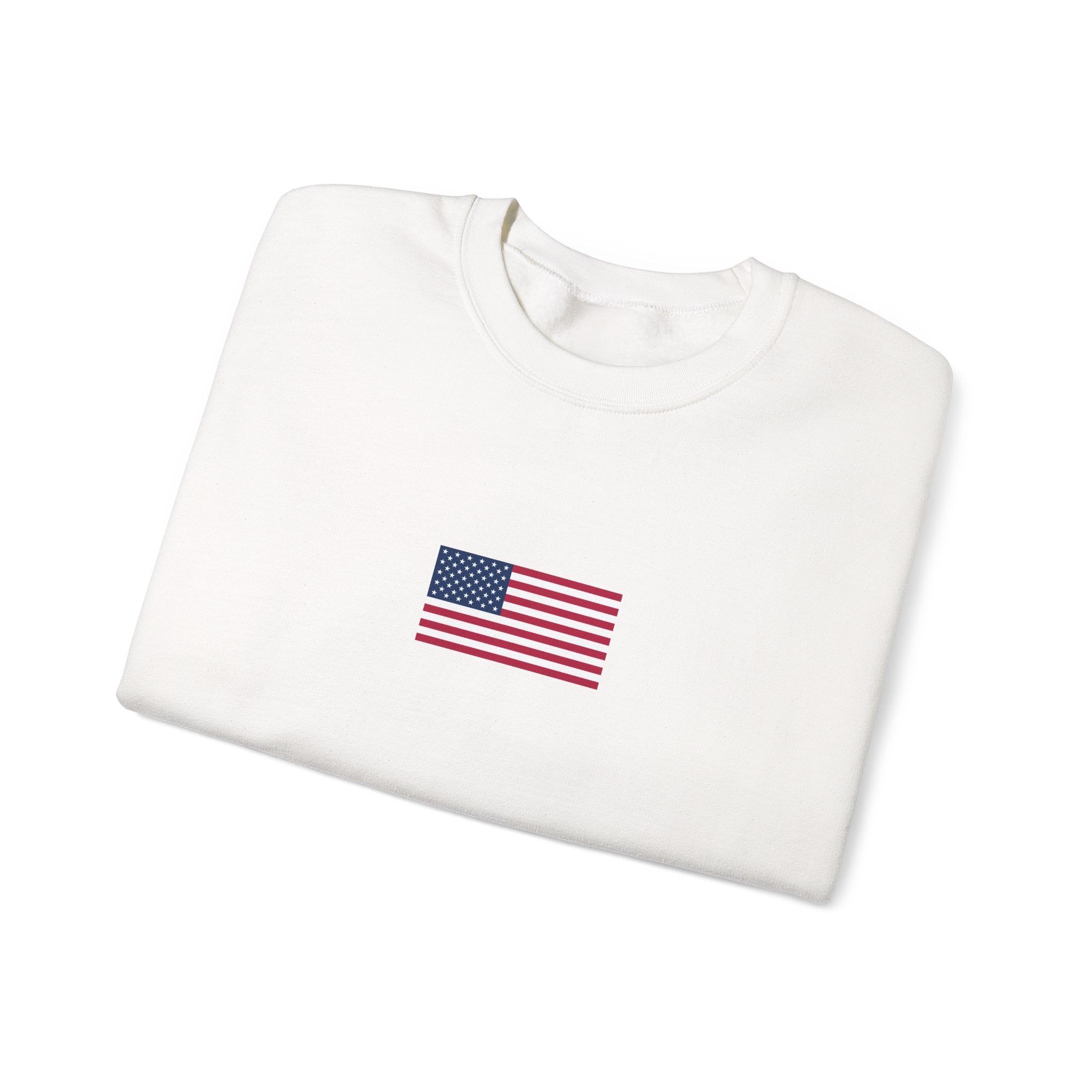 USA 2026 Sweatshirt