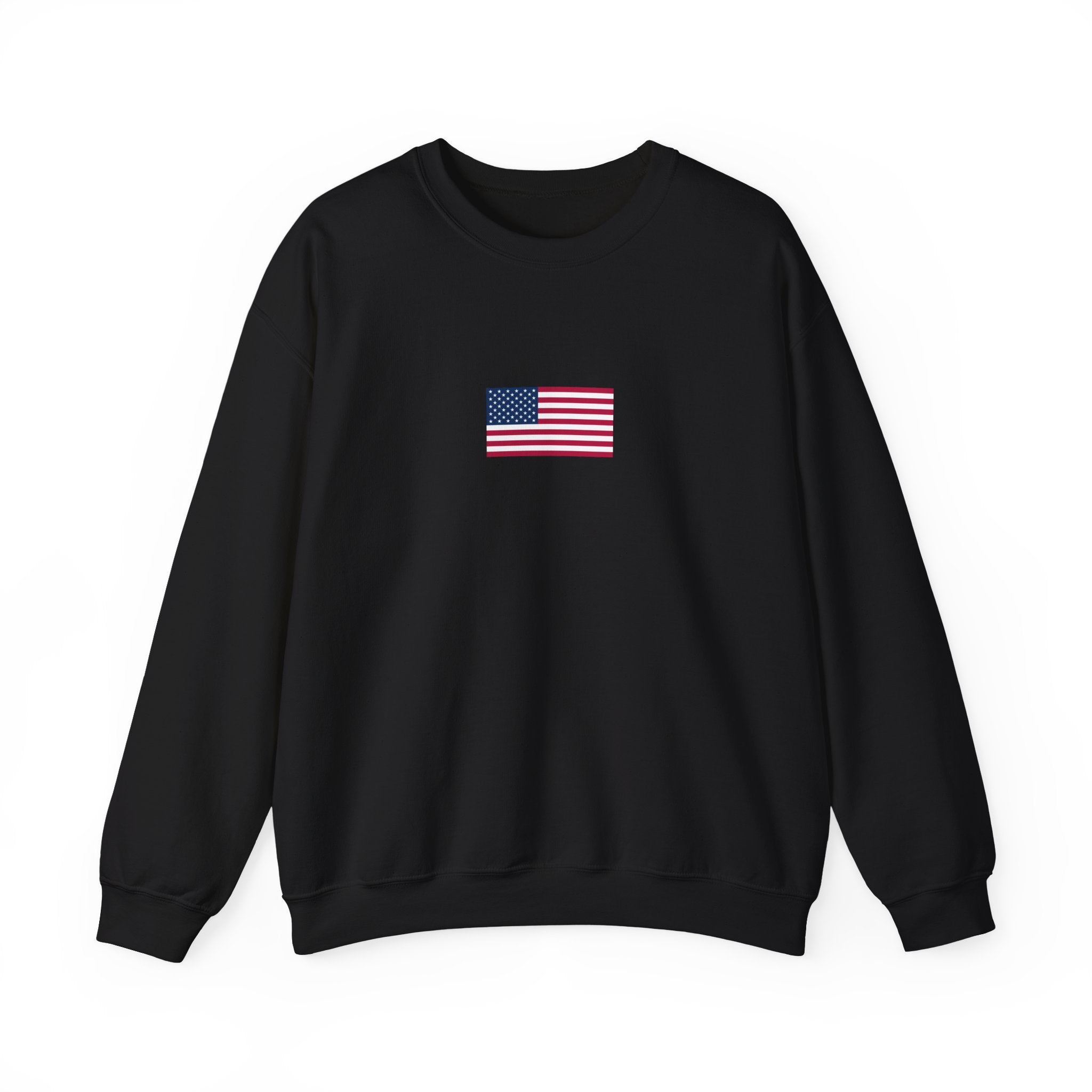 USA 2026 Sweatshirt