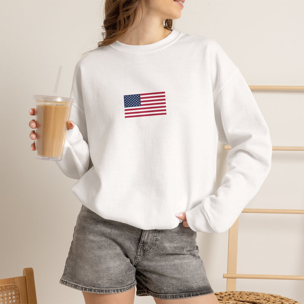 USA 2026 Sweatshirt