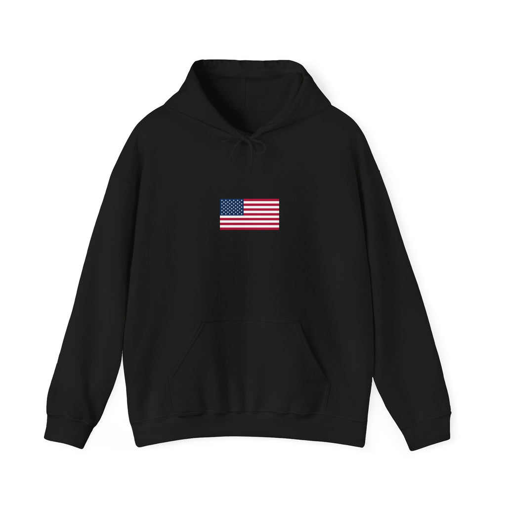 USA 2026 Hoodie