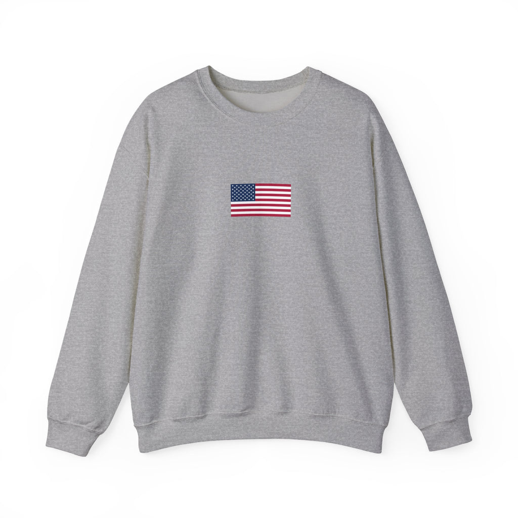 USA 2026 Sweatshirt